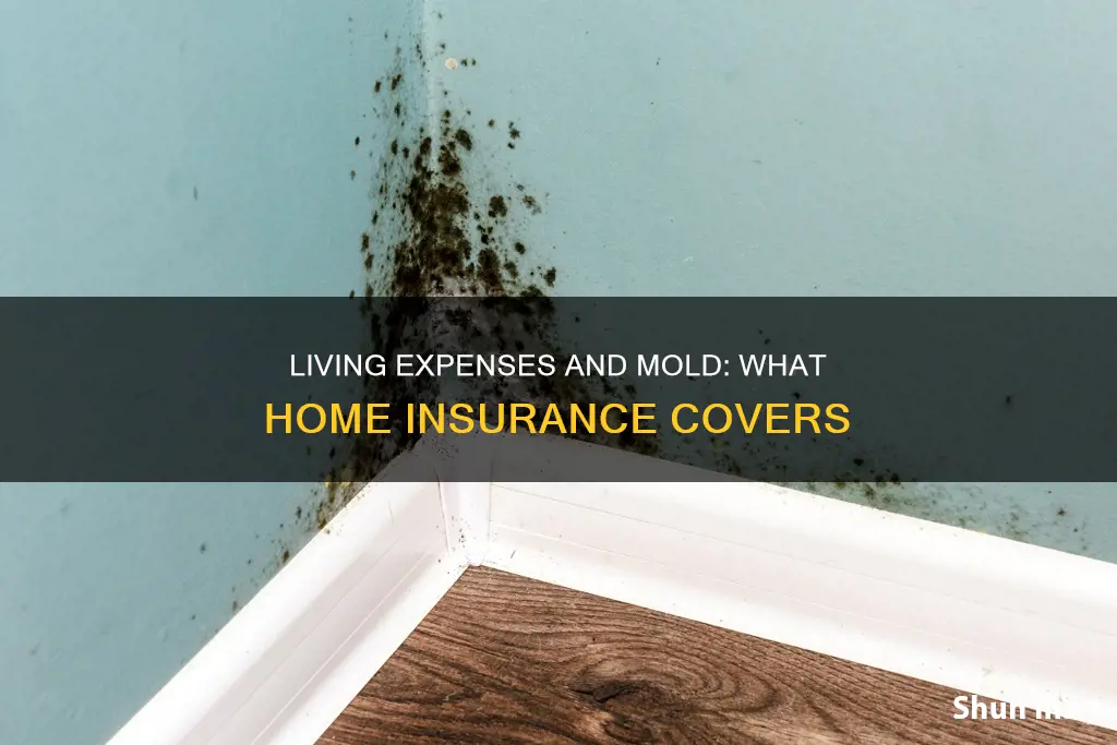does homeowners insurance living expenses mold