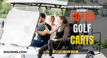 Golf Cart Conundrum: Navigating Insurance Coverage for Your Ride