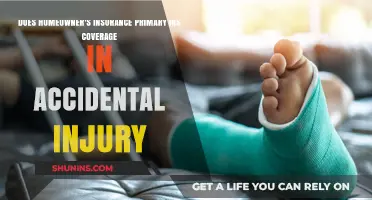 Homeowner's Insurance: Primary Coverage for Accidental Injuries?