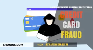 Home Insurance: Protecting You From Credit Card Fraud?