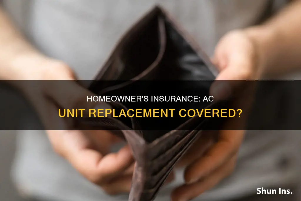 does homeowner