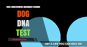 Home Insurance: Dog DNA Tests, Are They Necessary?