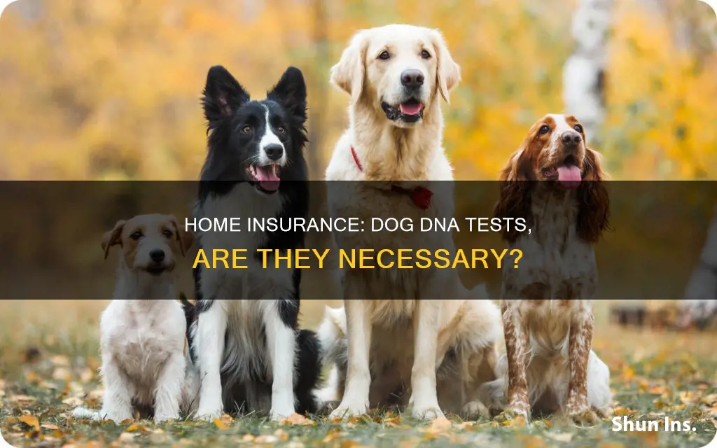 does homeowners insurance require dog dna test