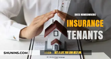 Homeowners' Insurance: What Tenants Need to Know