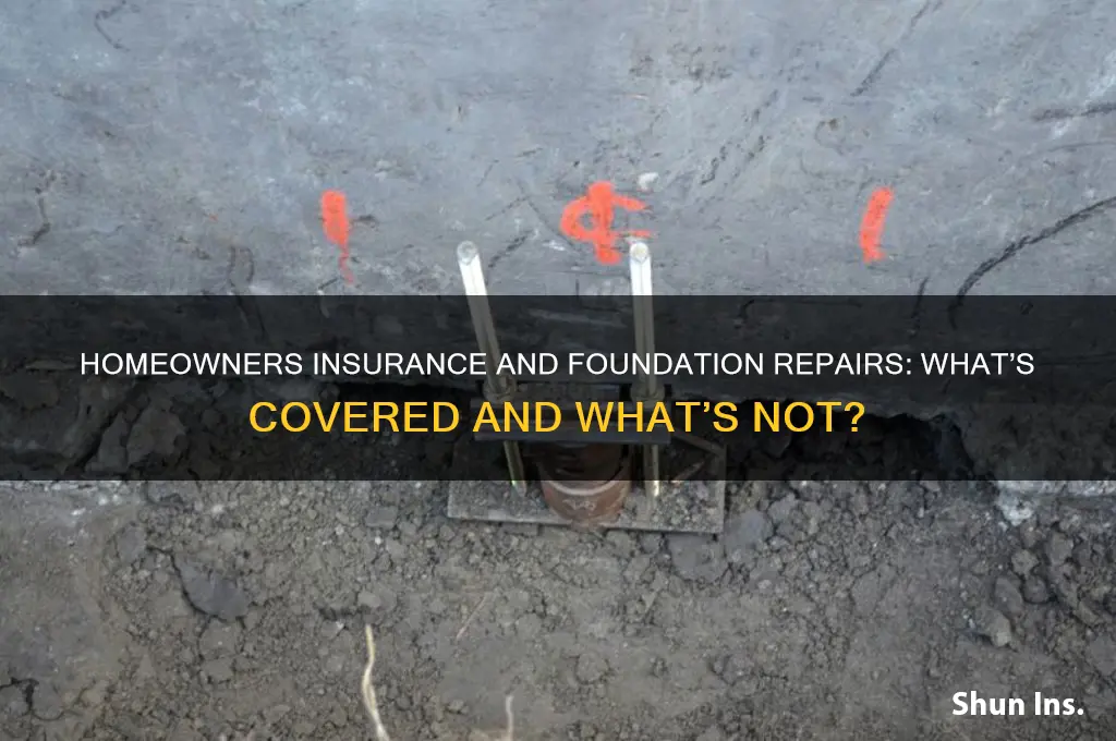 does homeownwers insurance help with foundation issues
