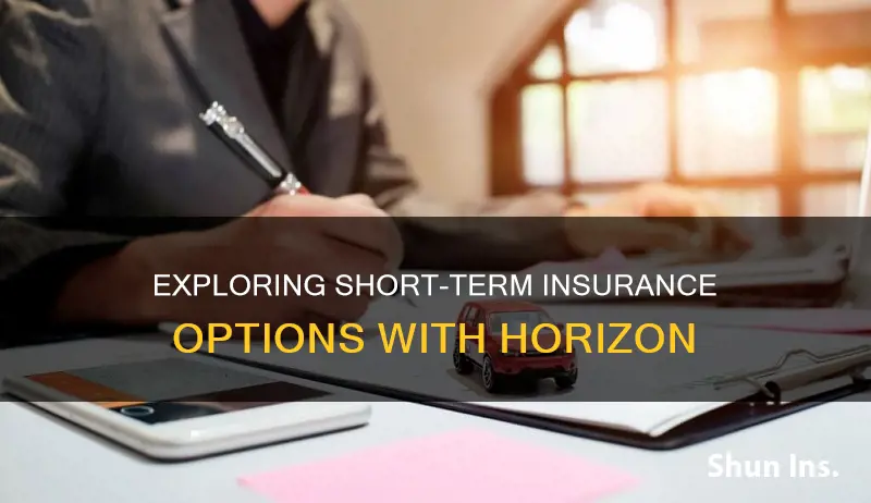 does horizon have short term insurance