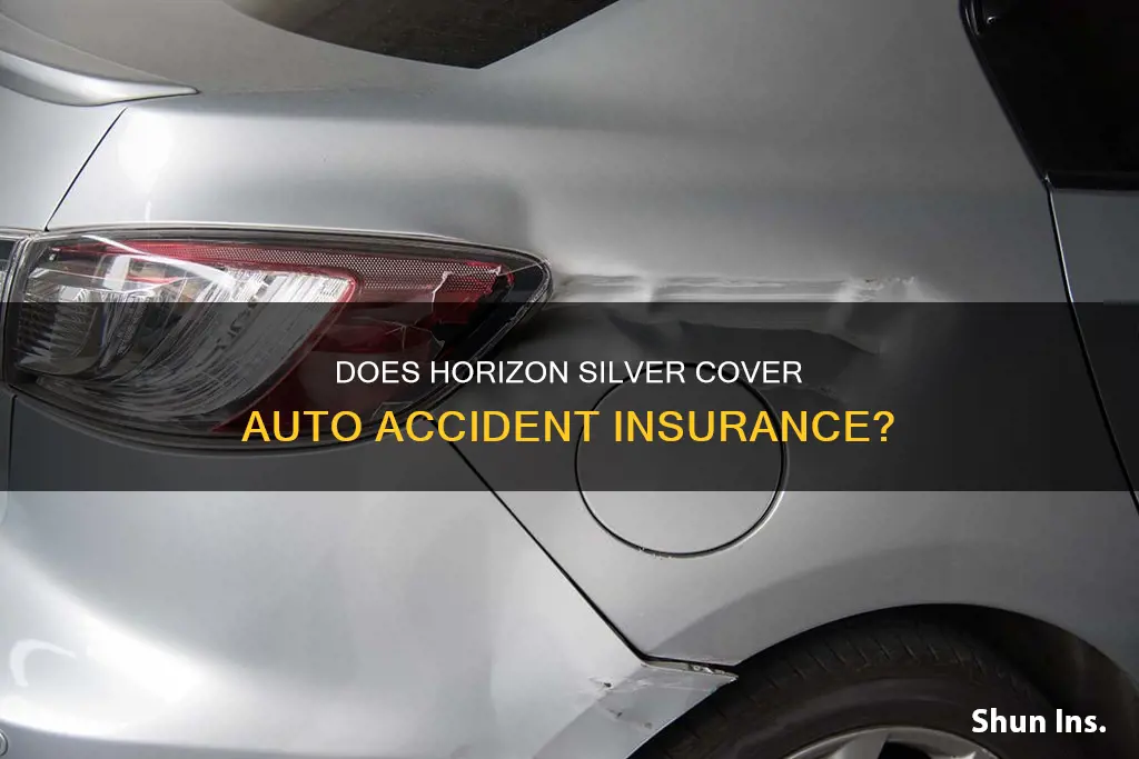 does horizon silver cover auto accident insurance