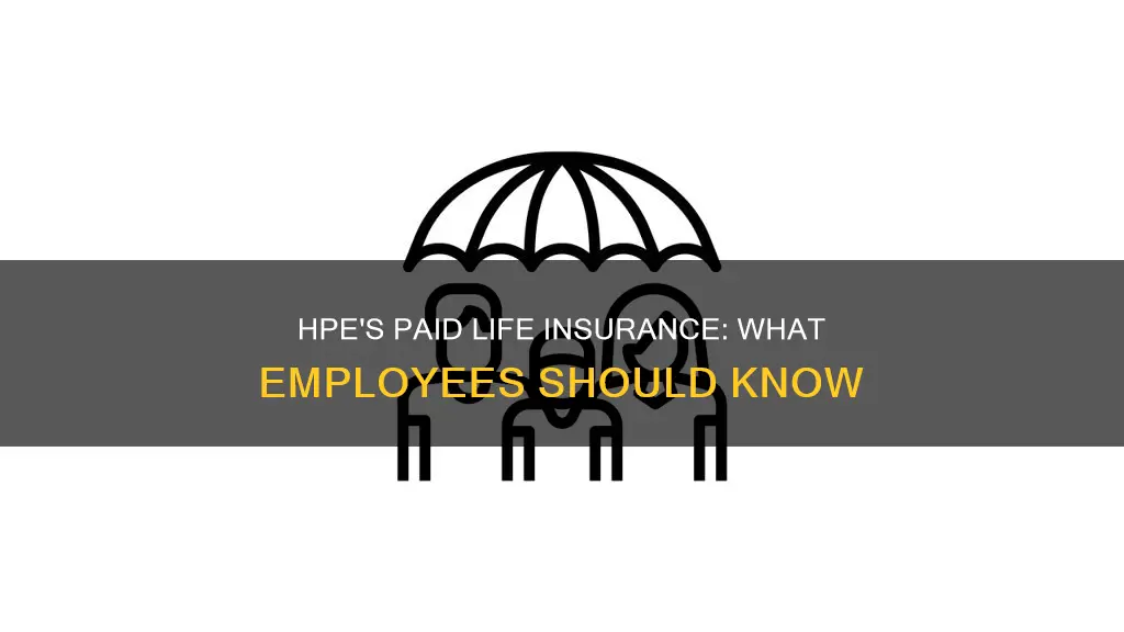 does hpe provide paid life insurance