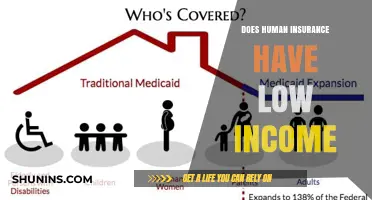 Does Human Insurance Adequately Support Low-Income Individuals?