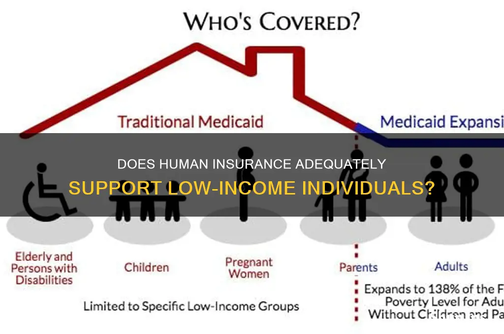 does human insurance have low income