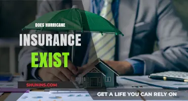 Does Hurricane Insurance Exist? Understanding Coverage Options for Storm Damage