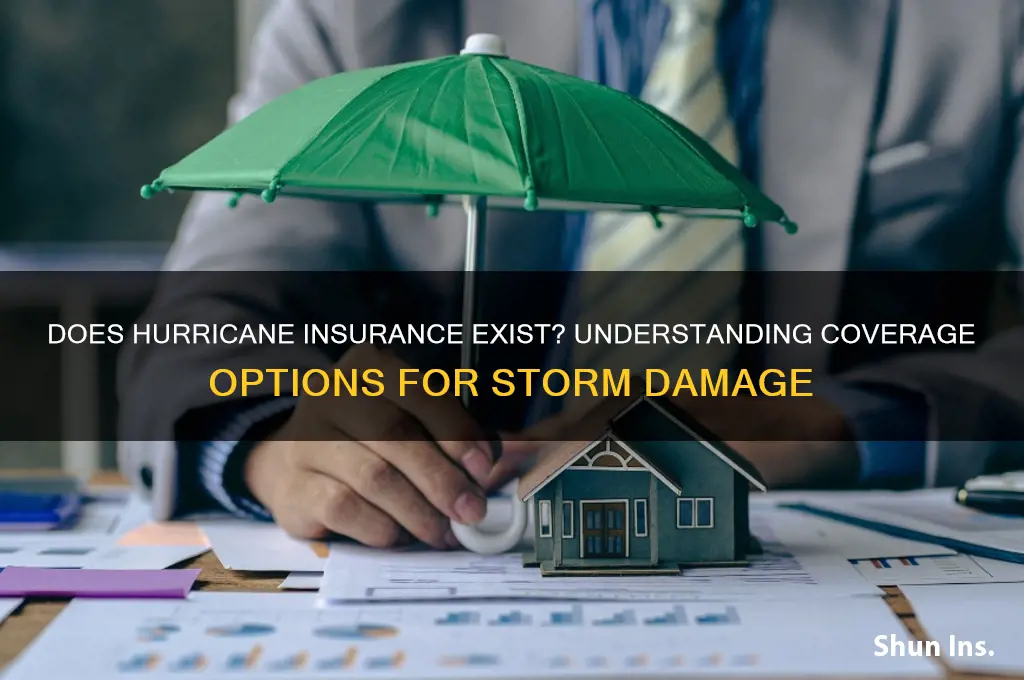 does hurricane insurance exist