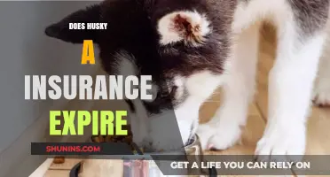 Does Husky A Insurance Expire? Understanding Coverage Duration and Renewal