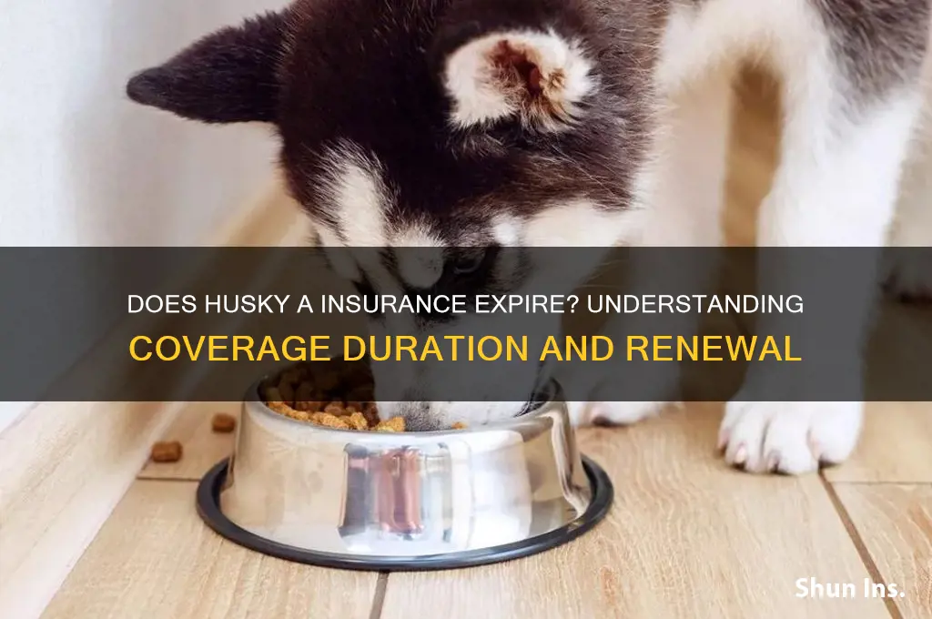 does husky a insurance expire