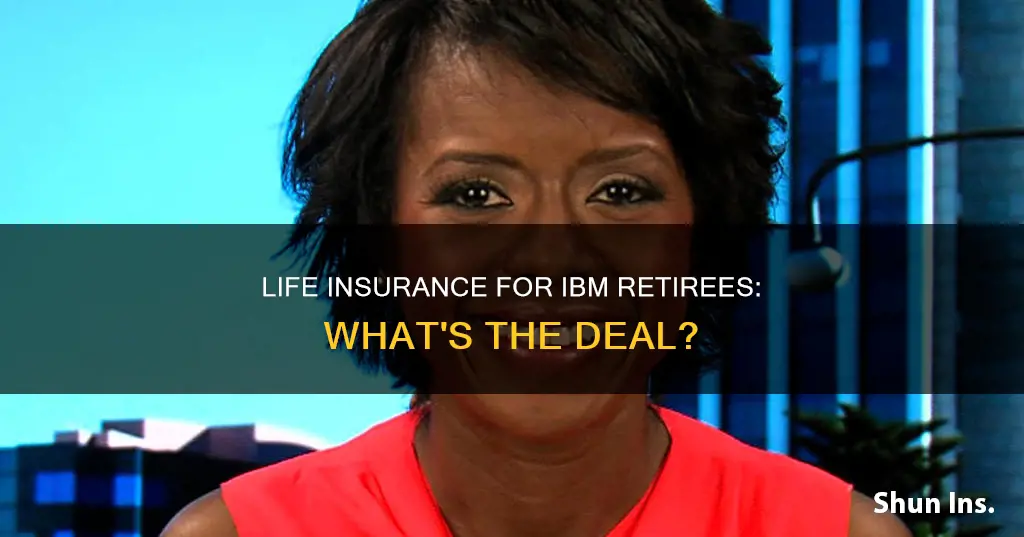 does ibm provide life insurance for retirees