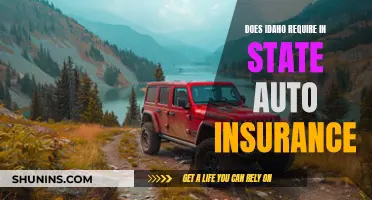 Idaho In-State Auto Insurance Requirements: What You Need to Know