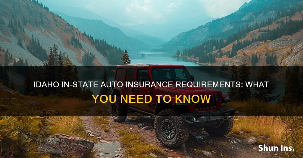 does idaho require in state auto insurance