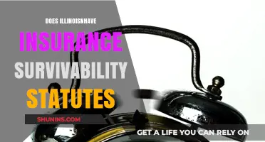 Illinois Insurance Survivability Statutes: Understanding Their Impact and Application