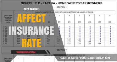 Income and Insurance Rates: What's the Connection?