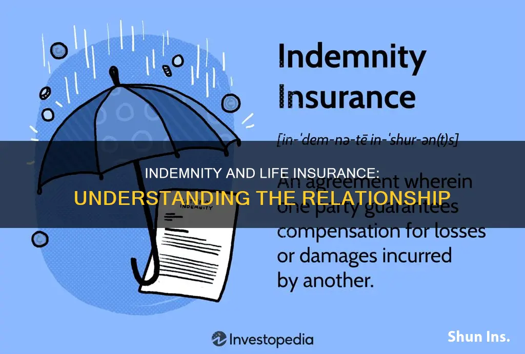 does indemnity apply in life insurance