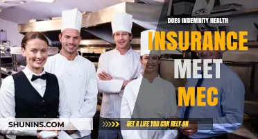 Does Indemnity Health Insurance Satisfy MEC Requirements? Key Insights
