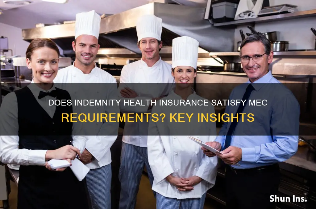 does indemnity health insurance meet mec