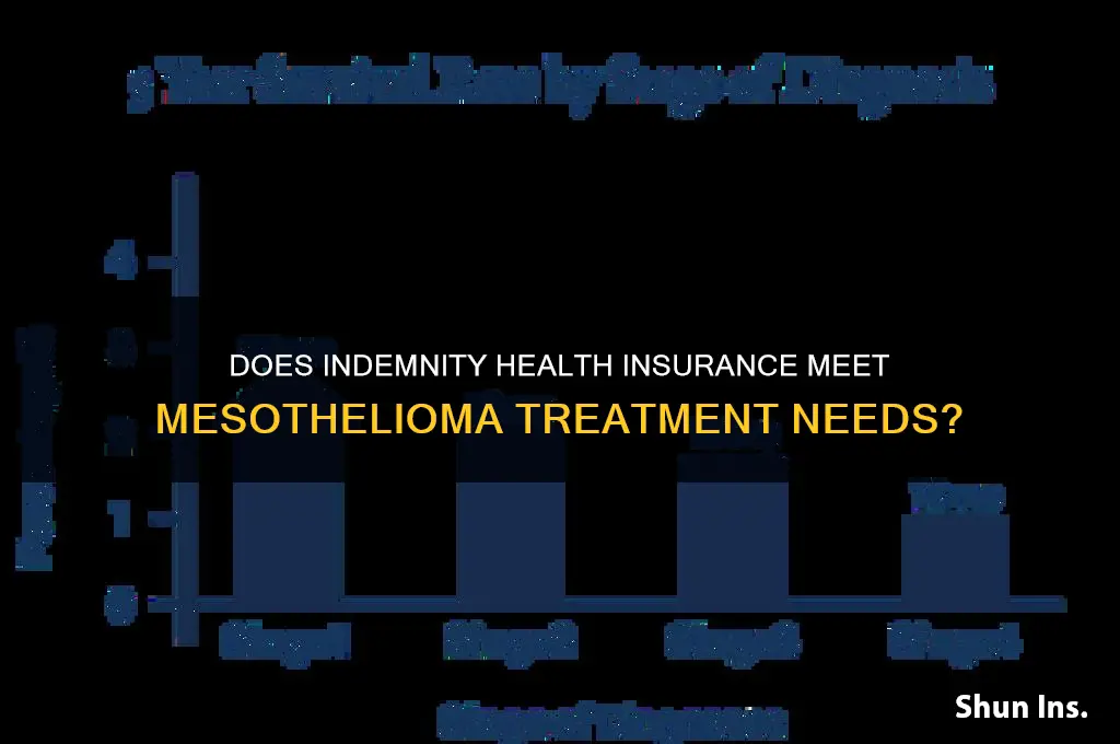 does indemnity health insurance meet mes