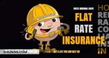 Flat-Rate Insurance: Indiana's Unique Offering