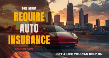 Hoosier State Auto Insurance Requirements: What You Need to Know