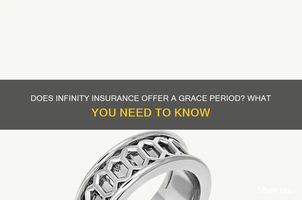 does infinity insurance have a grace period