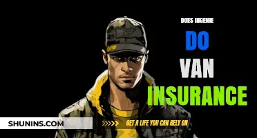 Does Ingenie Offer Van Insurance? A Comprehensive Coverage Guide