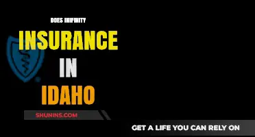 Does Infinity Insurance in Idaho Meet Your Coverage Needs?