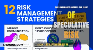 Speculative Risk: Is Insurance the Solution?