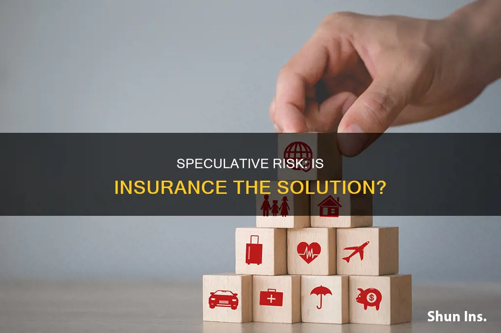 does insurance address the issue of speculative risk
