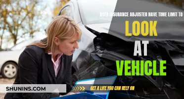 When Can I Expect an Insurance Adjuster to Assess My Vehicle Damage?