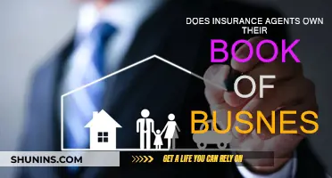 Who Owns the Book of Business? Insurance Agents' Book Ownership