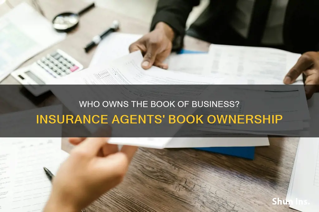 does insurance agents own their book of busness
