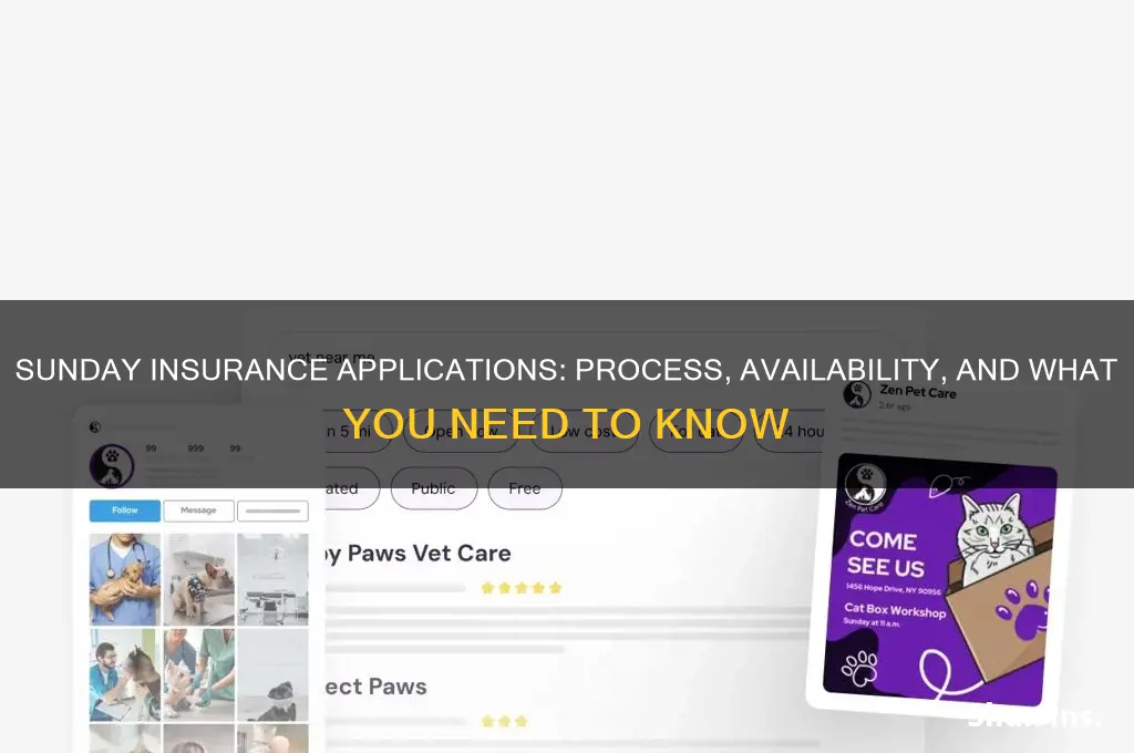 does insurance application process on sunday