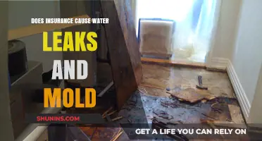 Insurance Policies: Uncovering the Link Between Coverage and Water Damage