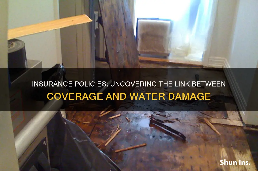 does insurance cause water leaks and mold