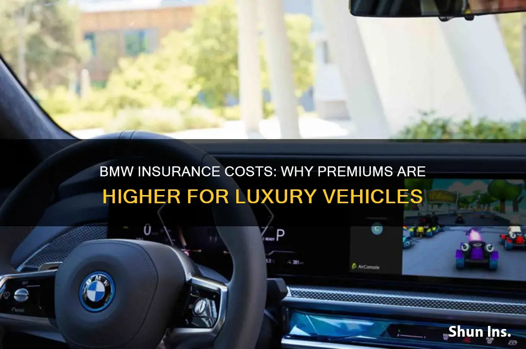 does insurance charge more for bmw