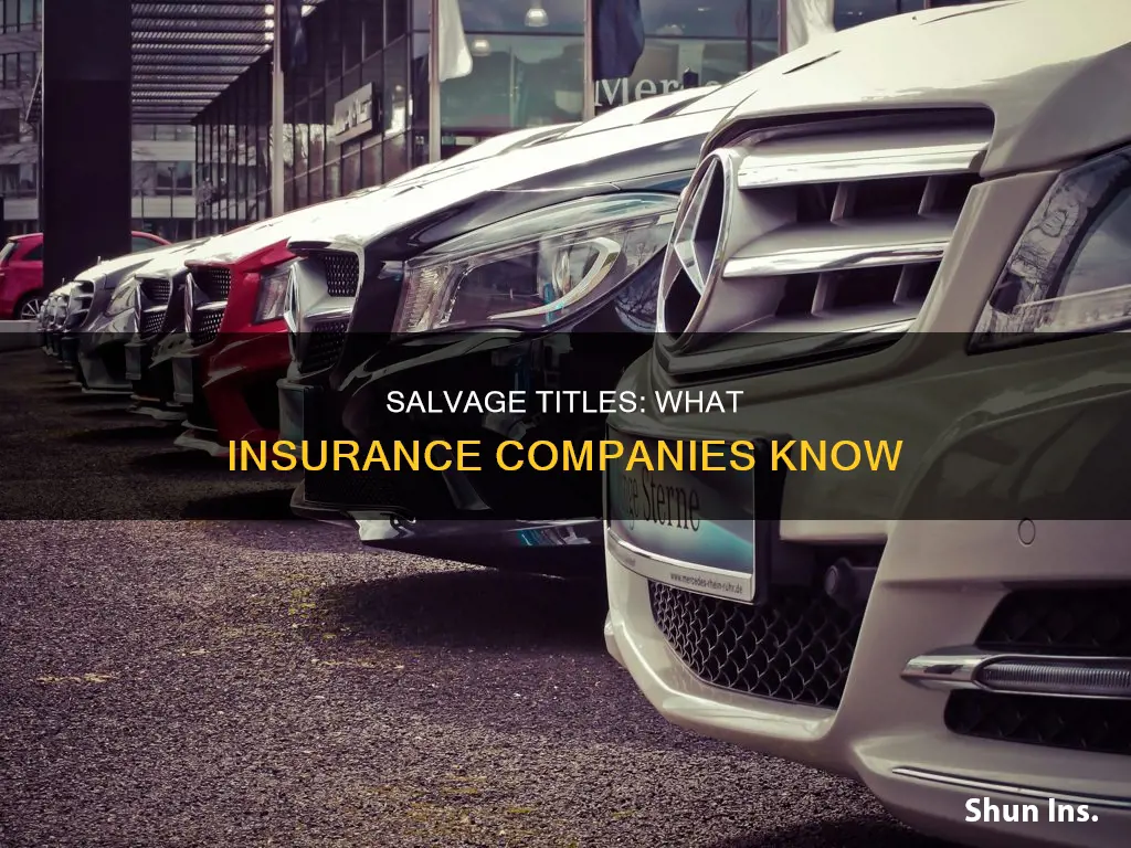 does insurance check for salvage title