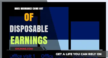 Understanding How Insurance Premiums Impact Your Disposable Earnings