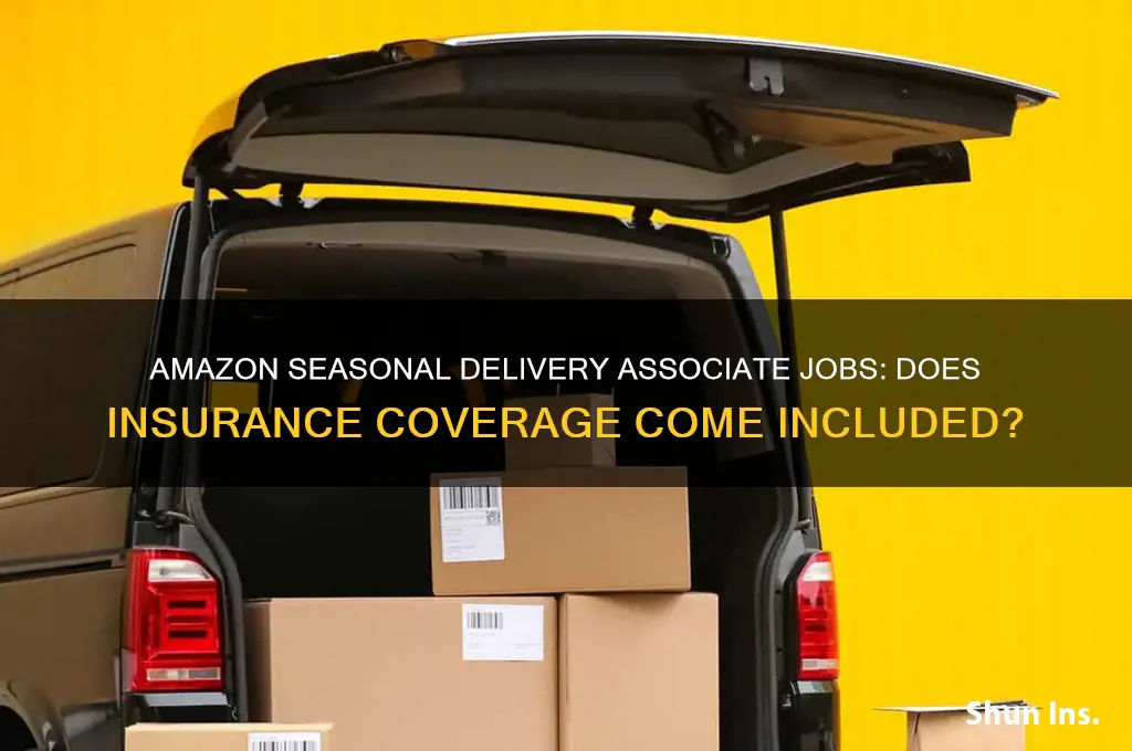 does insurance come with amazon seasonal delivery associate jobs