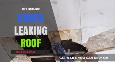 Does Homeowners Insurance Cover Roof Leaks? What You Need to Know