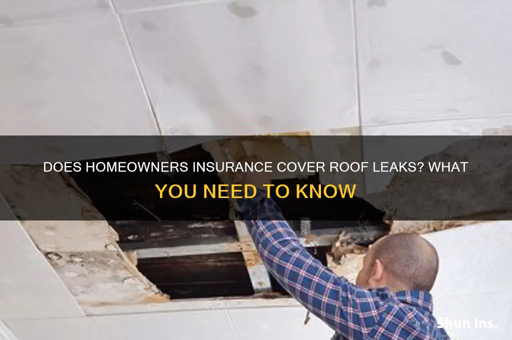 does insurance coner leaking roof