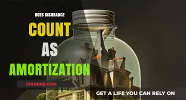 Insurance Premiums and Amortization: Understanding Their Financial Relationship