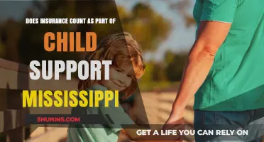Mississippi Child Support: Does Insurance Coverage Count as Payment?
