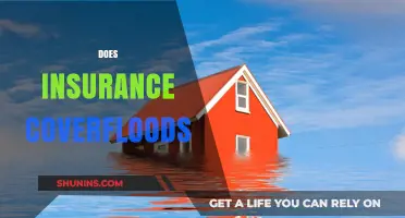 Does Homeowners Insurance Cover Flood Damage? What You Need to Know