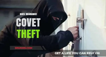 Does Insurance Cover Theft? Understanding Your Policy's Protection